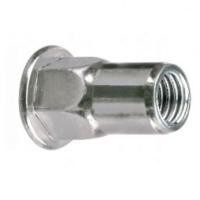 Купить заклепка м5x13.5 полушестигранная с внутренней резьбой и цилиндрическим бортом, оц. сталь оптом | ПРОТОРГ