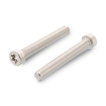 Рекомендуем купить ISO 14580 A2 M6X35 TX30