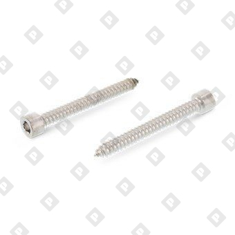 DIN 912 A4 C 5,5X22 - №1