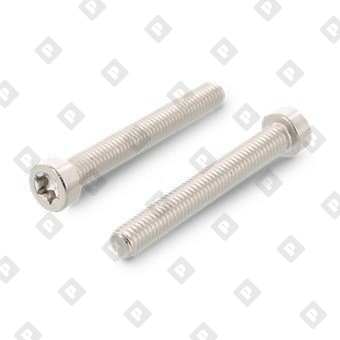 ISO 14580 A2 M8X25 TX45 - №1